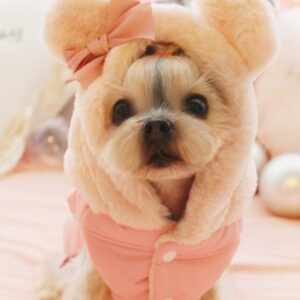 Dog Jacket with Mickey Mouse Ear Style hood and Ribbon - Puffer Style - Baby Pink / Red
