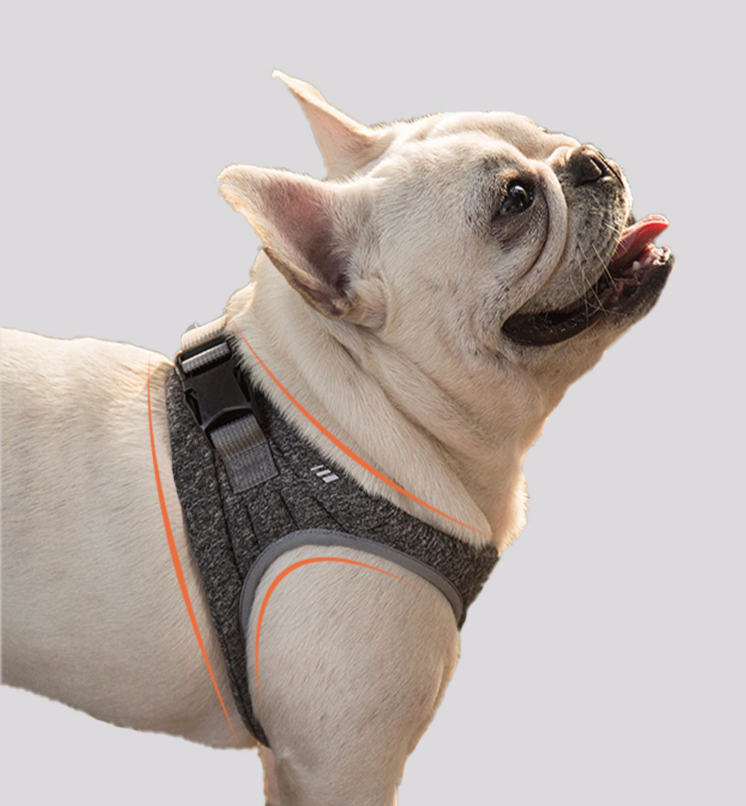 Expaw Dog Padded Harness and Lead - Grey - Image 2