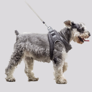 Expaw Dog Padded Harness and Lead - Grey